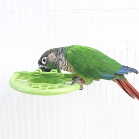 뭉게뭉게 구름 거울 (그린 / 화이트)