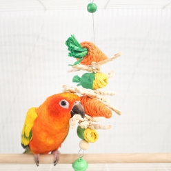 바니바니 당근 옥수수