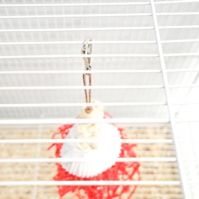 허수아비 아저씨 (색상 랜덤)