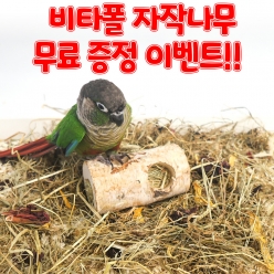 ✨비타폴 자작나무 터널 S 무료증정!!✨  (로그인 후 구매가능)