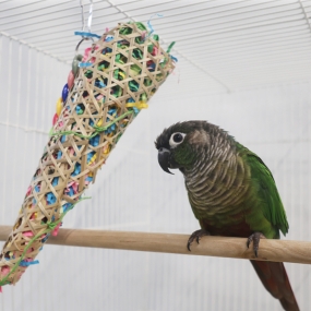 아이스크림 콘 장난감