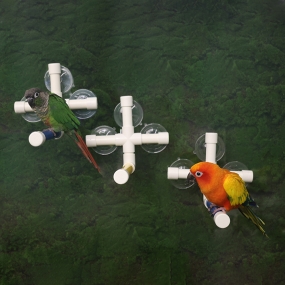 십자형 PVC 횃대