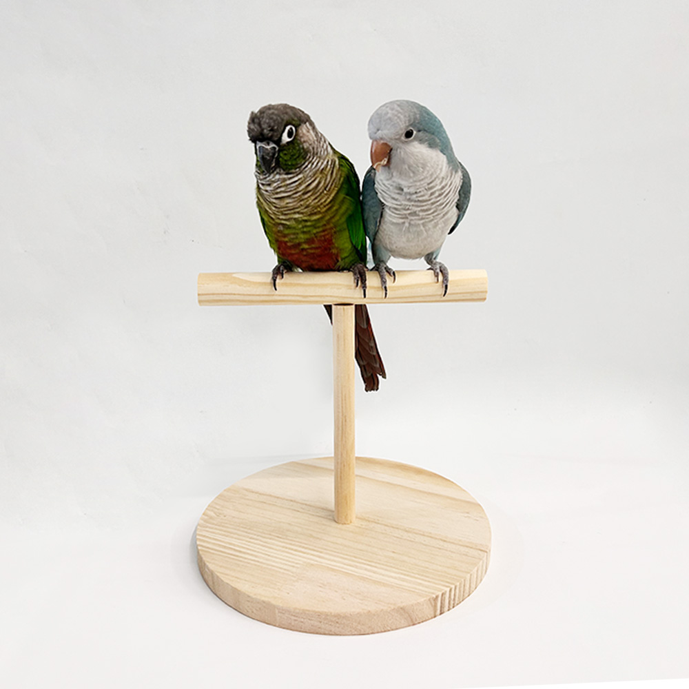 T자형 원목 횃대