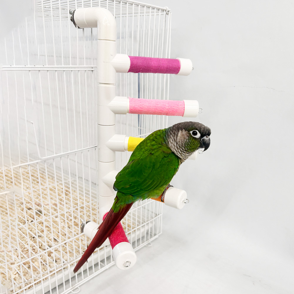 PVC 계단 횃대 (블루/핑크)