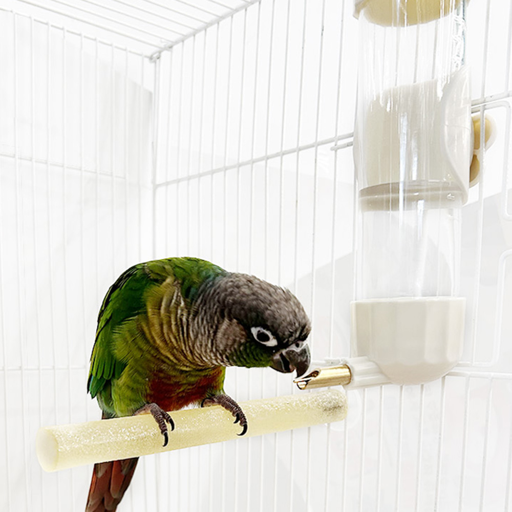 콩알 급수기 200ml ( 화이트/그린/그레이 )