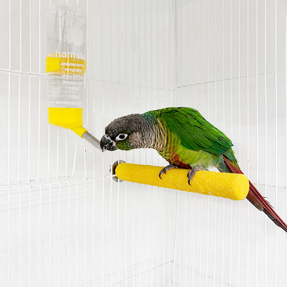 앵무새 급수기 125ml ( 옐로우/블루/핑크 )