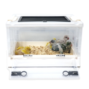 플라스틱 만능 육추기 ( 민트 / 화이트 )