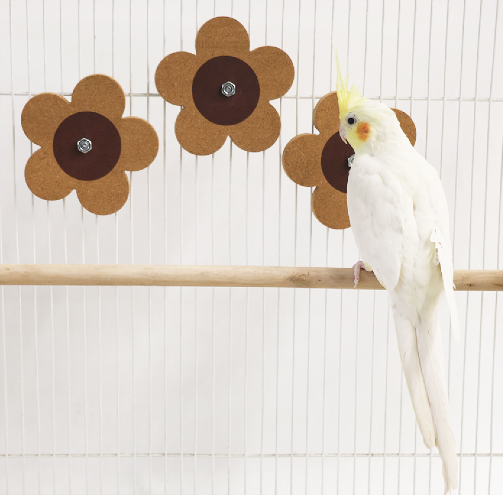 친환경 뜯뜯 코르크 플라워