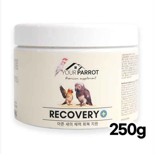 유어패럿 아픈새 영양보충 이유식 250g