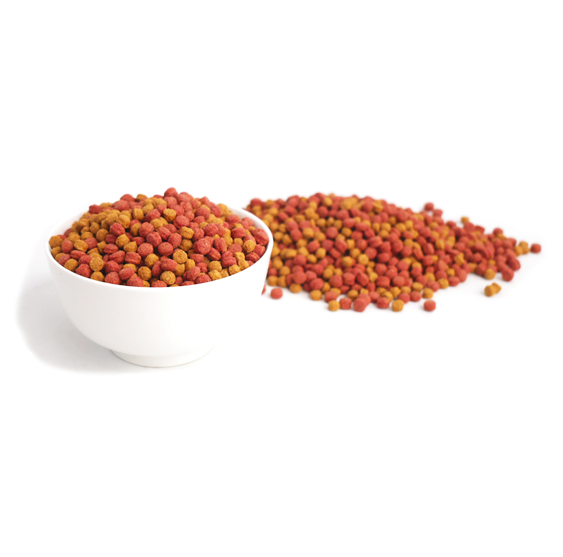 앵무새펠렛A3(32) 유어패럿 앵무새 펠렛 과일 & 채소 900g