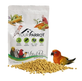 유어패럿 허브 블랜드 900g