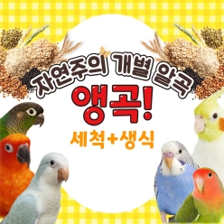 자연주의 세척+생식 개별알곡 앵곡 100g