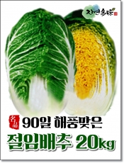 절임배추 11월10일(화)도착 (무료배송)