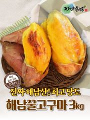 해남 황토 꿀고구마 上 3kg