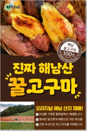 Original 해남황토 꿀고구마 최상품 Sizerhfms선별