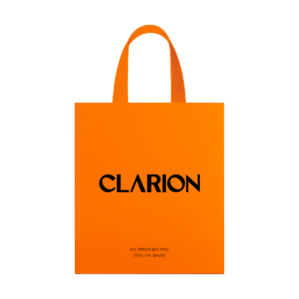 클라리온 쇼핑백