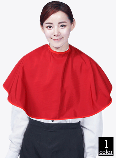 HC09 자주