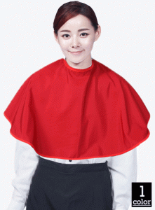 HC09 자주