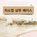 자소엽 샴푸 베이스