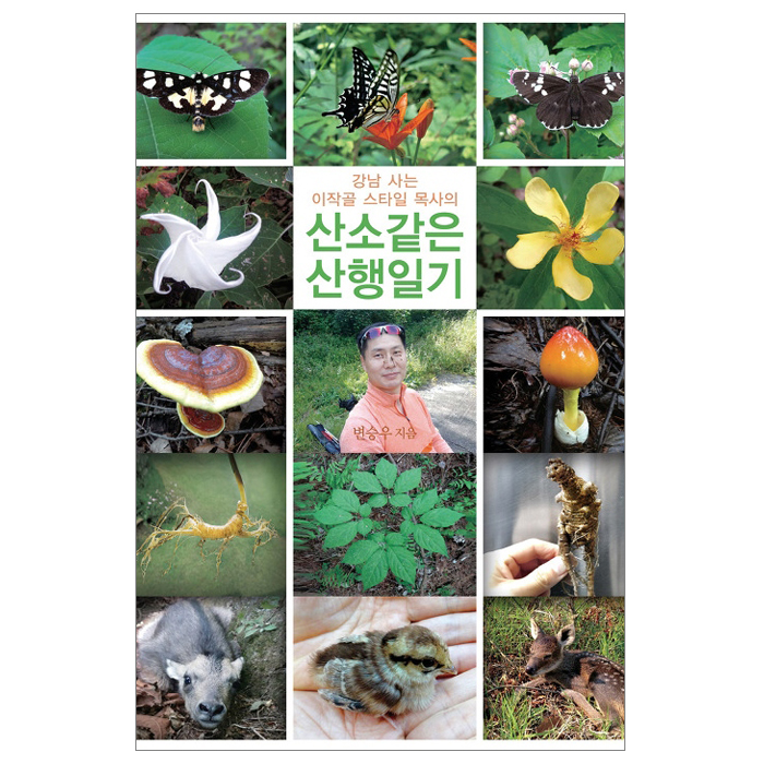 산소 같은 산행일기