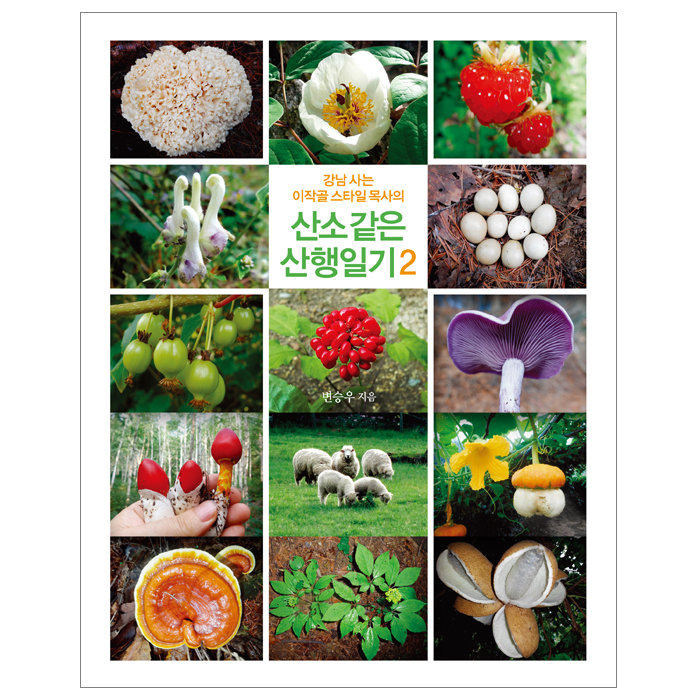 산소 같은 산행일기2