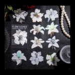 나이트 플라워 컬렉션 다용도 PET스티커 20매입 6종옵션