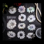 나이트 플라워 컬렉션 다용도 PET스티커 20매입 6종옵션