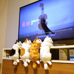 홈인테리어 데롱 매달린 펫 고양이장식 4종세트