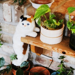 데롱 매달린 홈인테리어 펫 고양이장식 시즌2