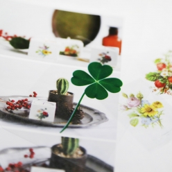 행운 네잎크로버 선물 코팅 네잎크로바