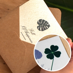 자연드림 네이처 리프 편지봉투와 행운의 네잎클로버 5세트