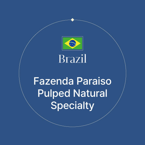 브라질 파젠다 파라이소 펄프드 내추럴 스페셜티
