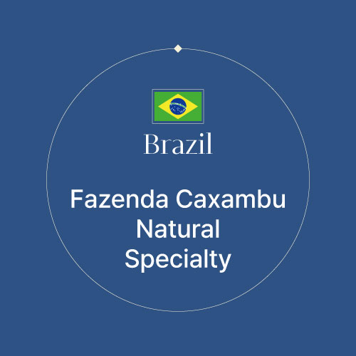 브라질 파젠다 카삼부 내추럴 스페셜티