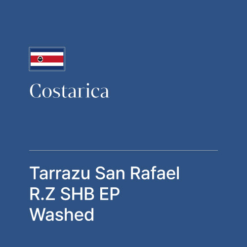 코스타리카 따라주 산 라파엘 RZ SHB EP 워시드