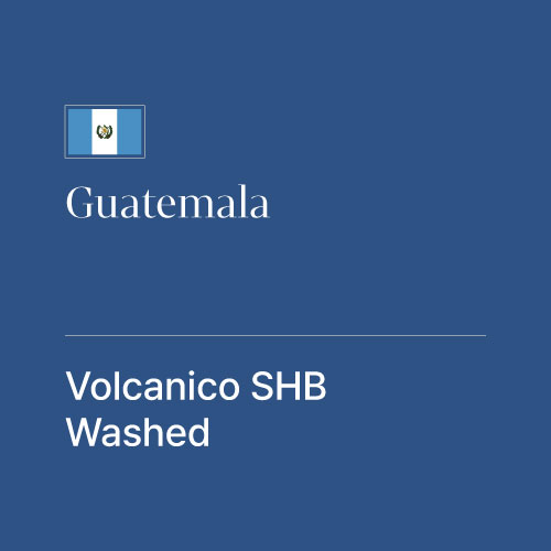 과테말라 볼까니꼬 SHB 워시드