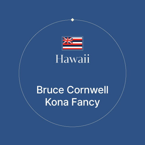하와이 브루스 콘웰 코나 팬시 워시드