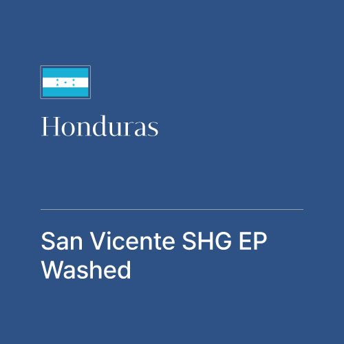 온두라스 산 비센테 SHG EP 워시드