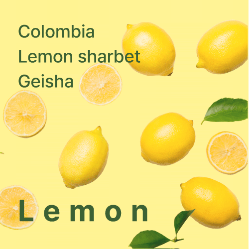 히든셀렉션 콜롬비아 레몬 샤베트 게이샤