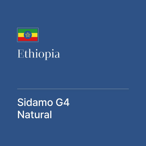 에티오피아 시다모 G4 내추럴