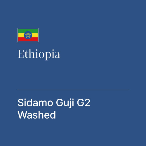 에티오피아 시다모 구지 G2 워시드