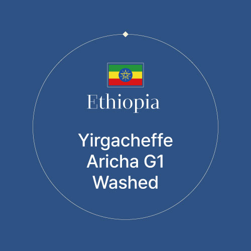 에티오피아 예가체프 아리차 G1 워시드