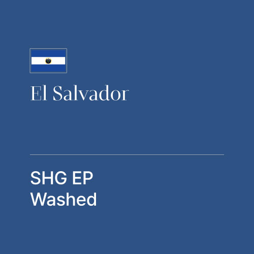 엘살바도르 SHG EP 워시드