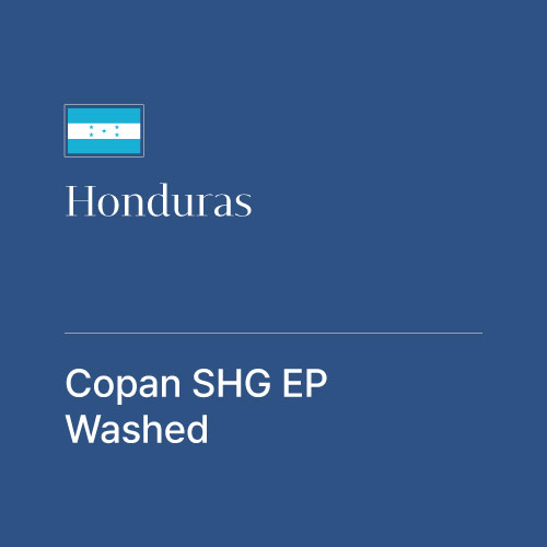 온두라스 코판 SHG EP 워시드