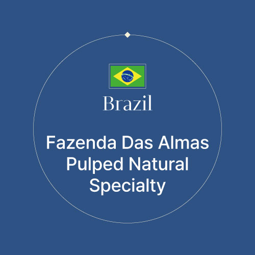 브라질 파젠다 다스알마스 펄프드 내추럴 스페셜티