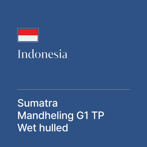인도네시아 수마트라 만델링 G1 TP Wet hulled