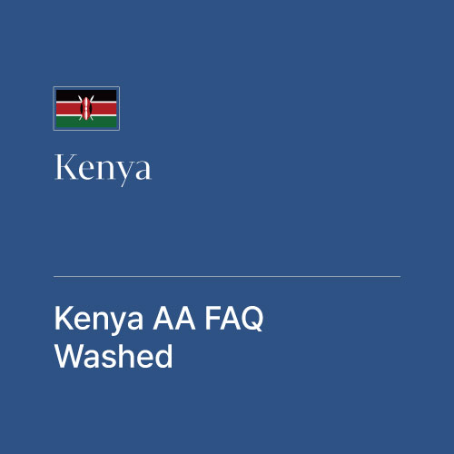 케냐 AA FAQ