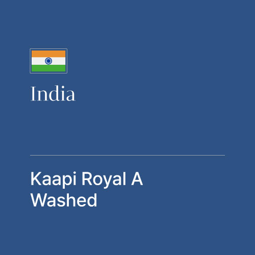 인도 카피 로얄 A 워시드