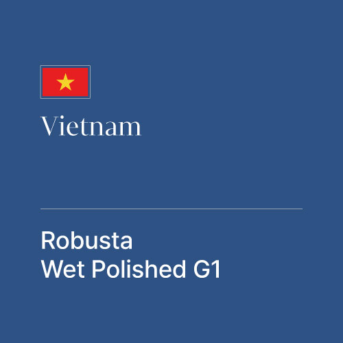 베트남 로부스타 G1 Wet polished