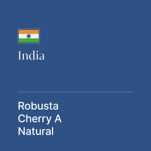 인도 체리 A 로부스타 내추럴
