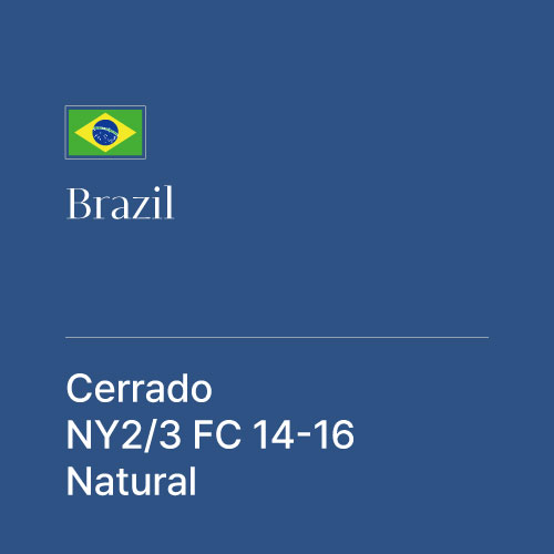 브라질 세하도 파인컵 NY2/3 14-16 내추럴